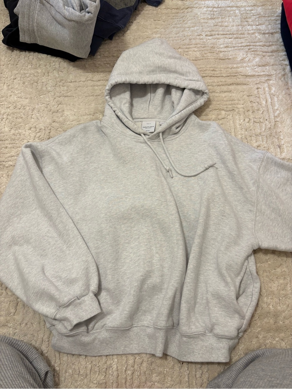 Aritzia hoodie
